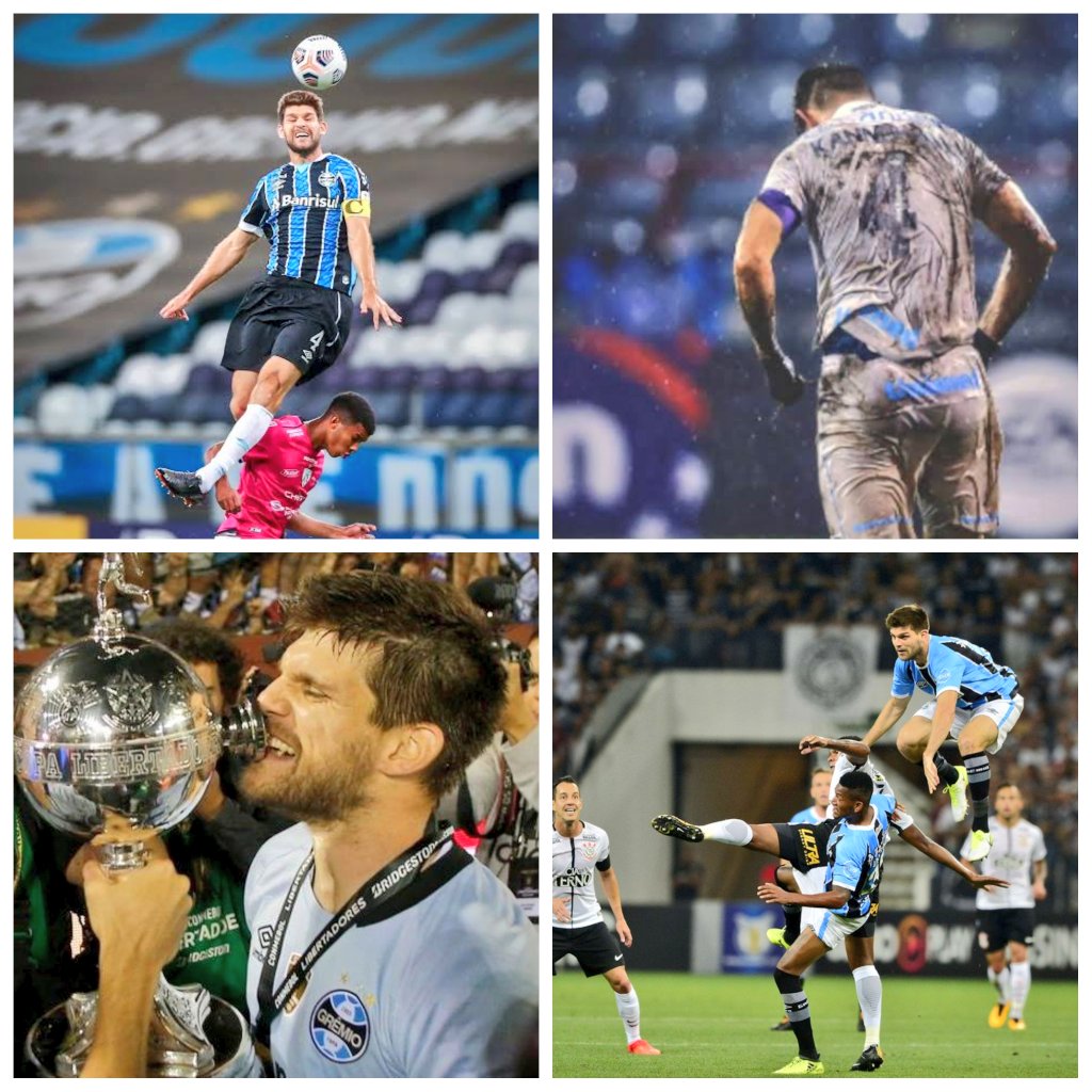 Rei do Sul tweet media