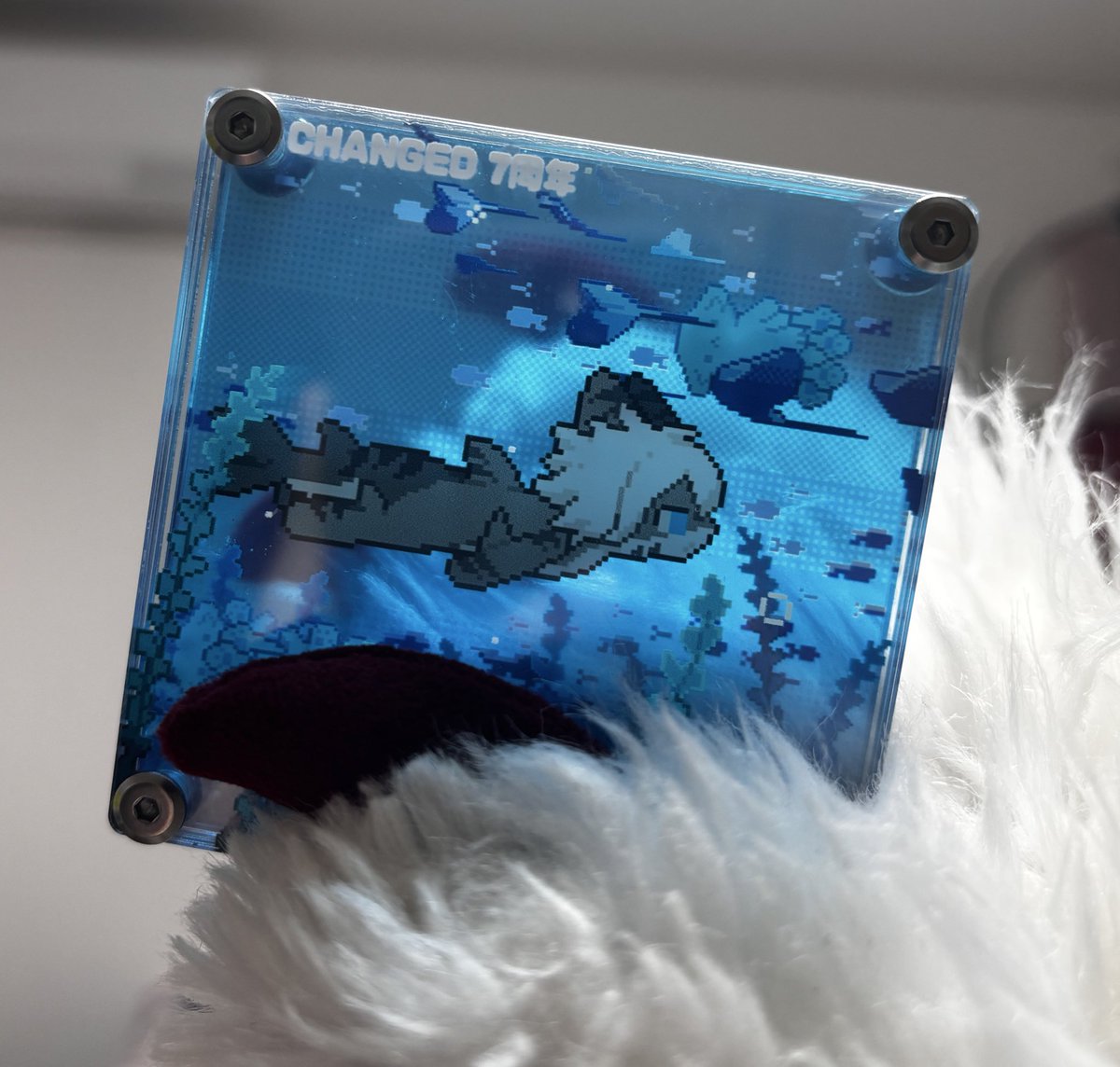 someone313313's tweet image. ＃changed 
beautiful〜shark