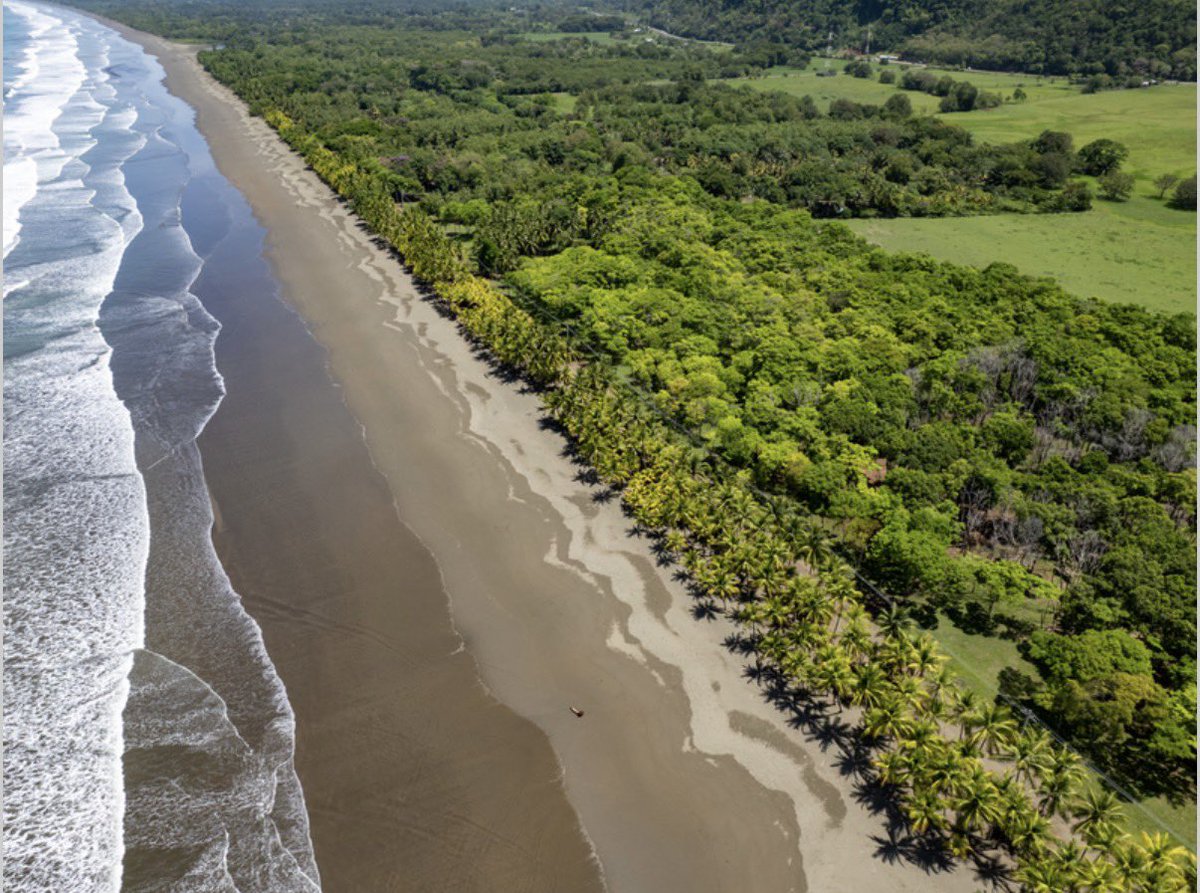 Spencer Barber tweet media