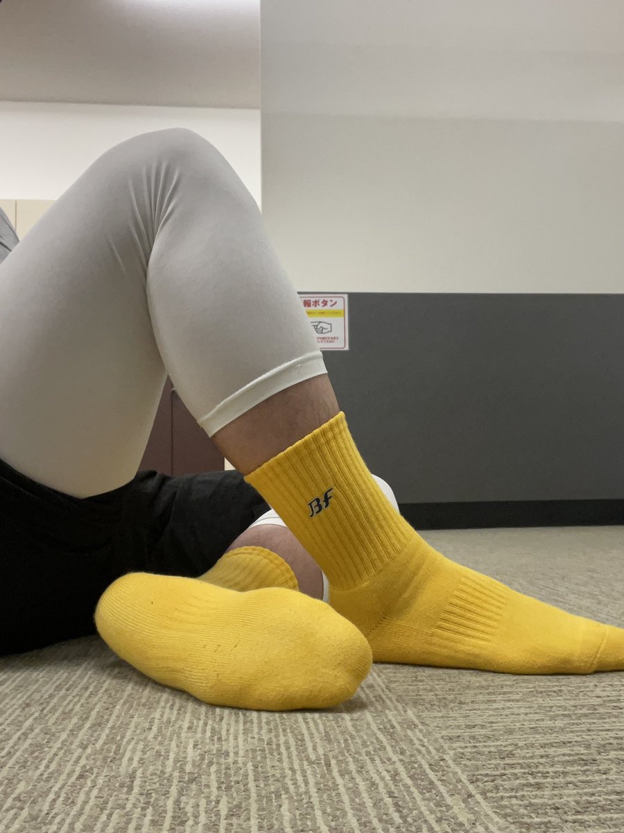 GShibata tweet media