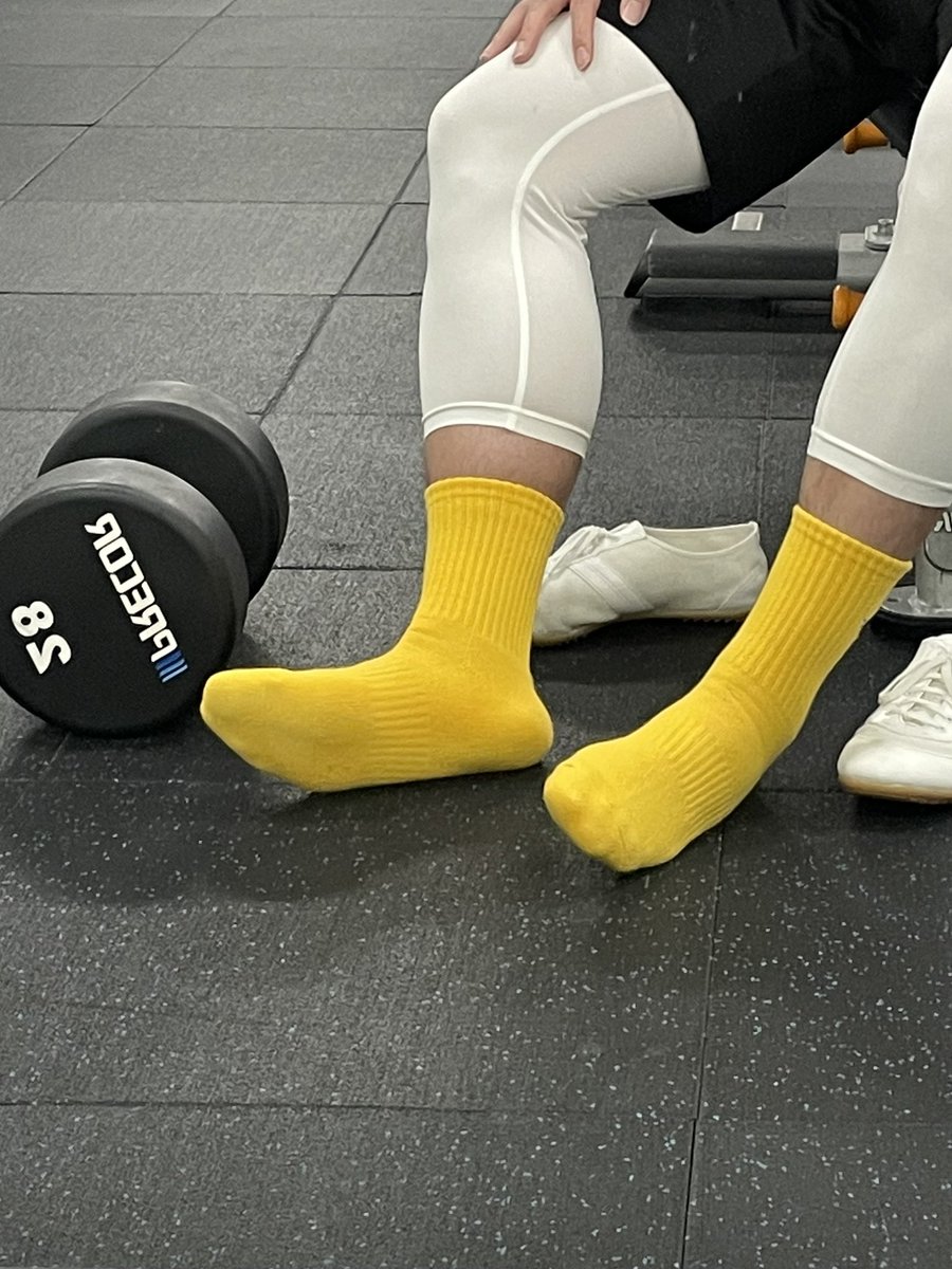 GShibata tweet media