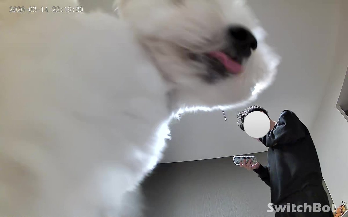 きなり tweet media