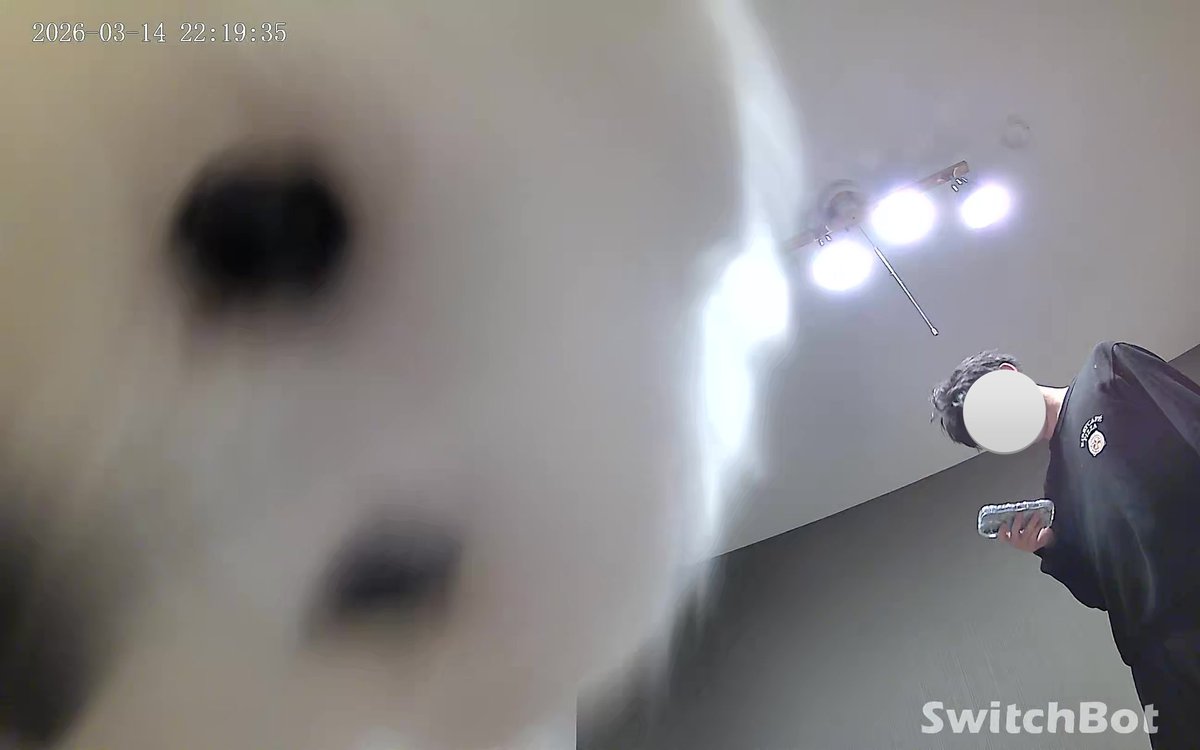 きなり tweet media