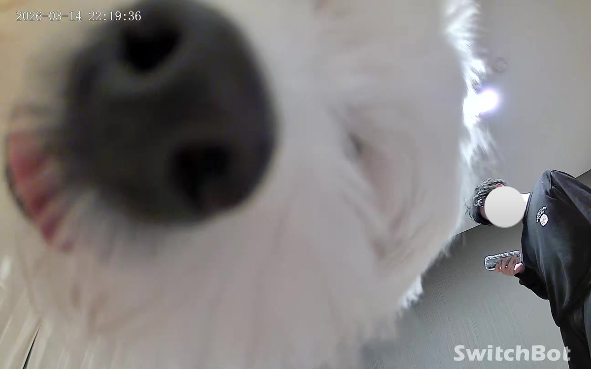 きなり tweet media