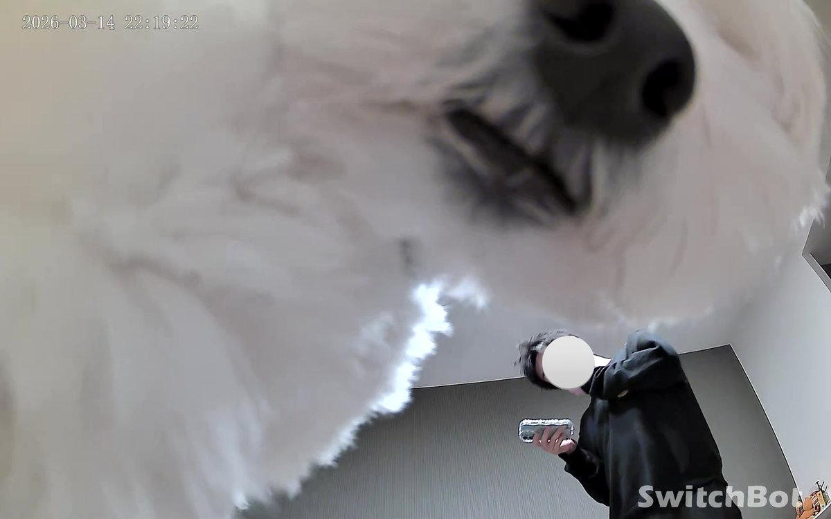 きなり tweet media