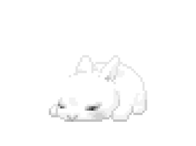 mika🪽 tweet media