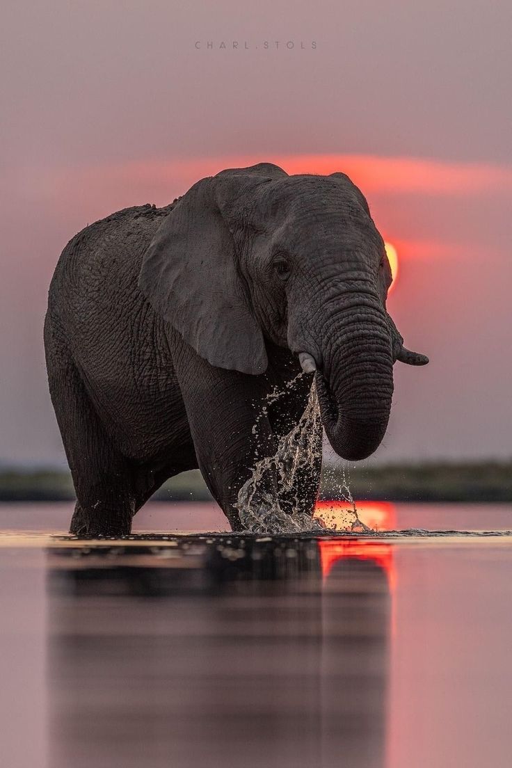 Wonderful (@wonderful1s) on Twitter photo 
