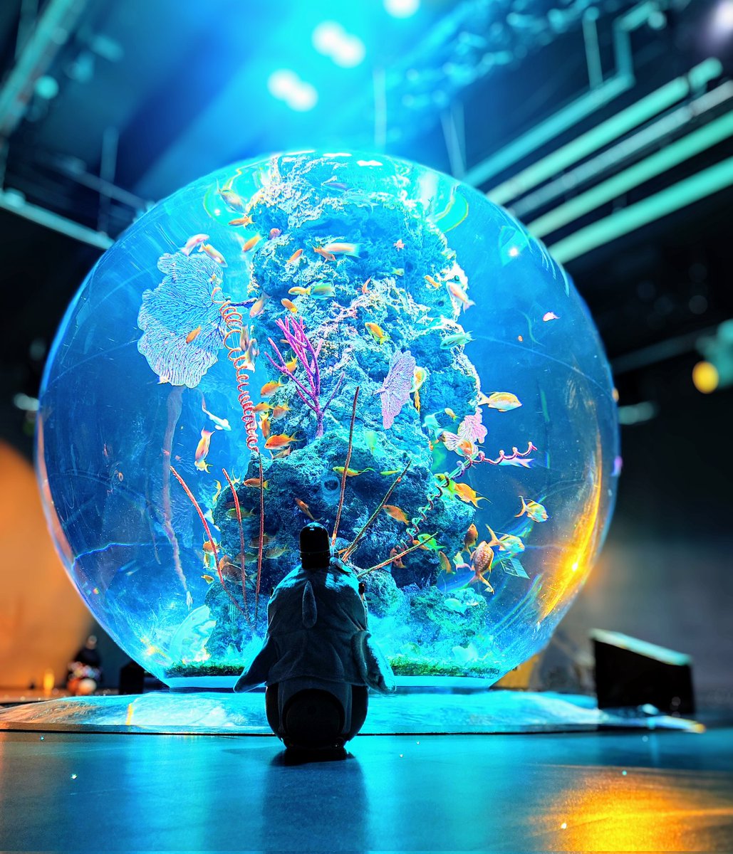 ゆん🎀LOVOTはなちゃん tweet media