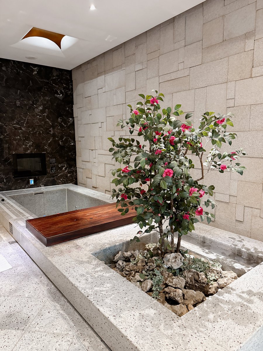 𝓓𝓪𝓻𝓴𝓚𝓷𝓲𝓰𝓱𝓽 & 𝓦𝓱𝓲𝓽𝓮 tweet media