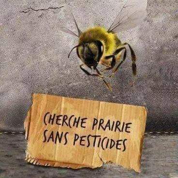 Adea Claude tweet media