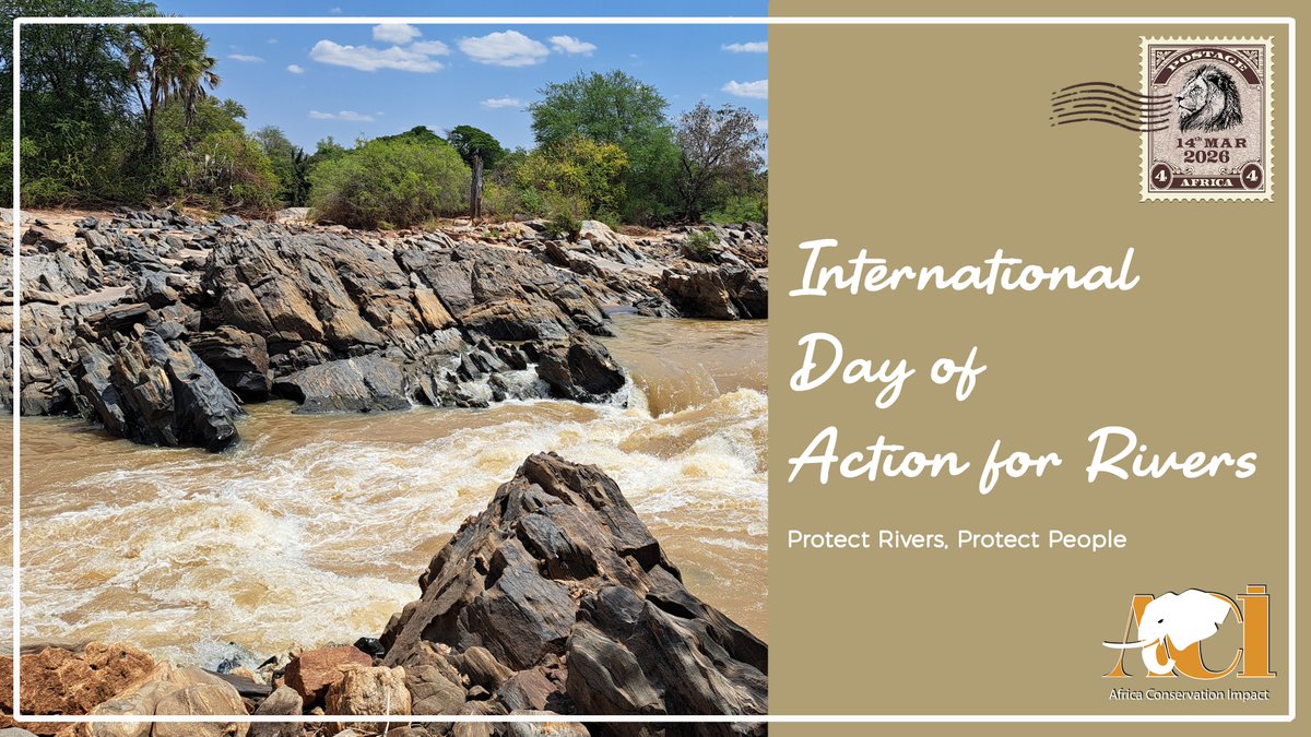 Africa Conservation Impact tweet media