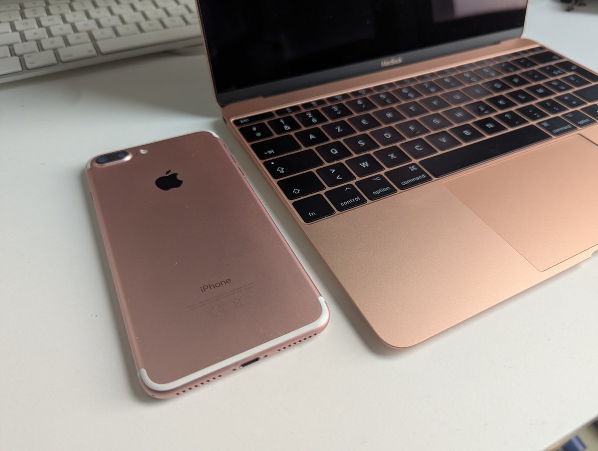 saraaaaaaa 💽 tweet media