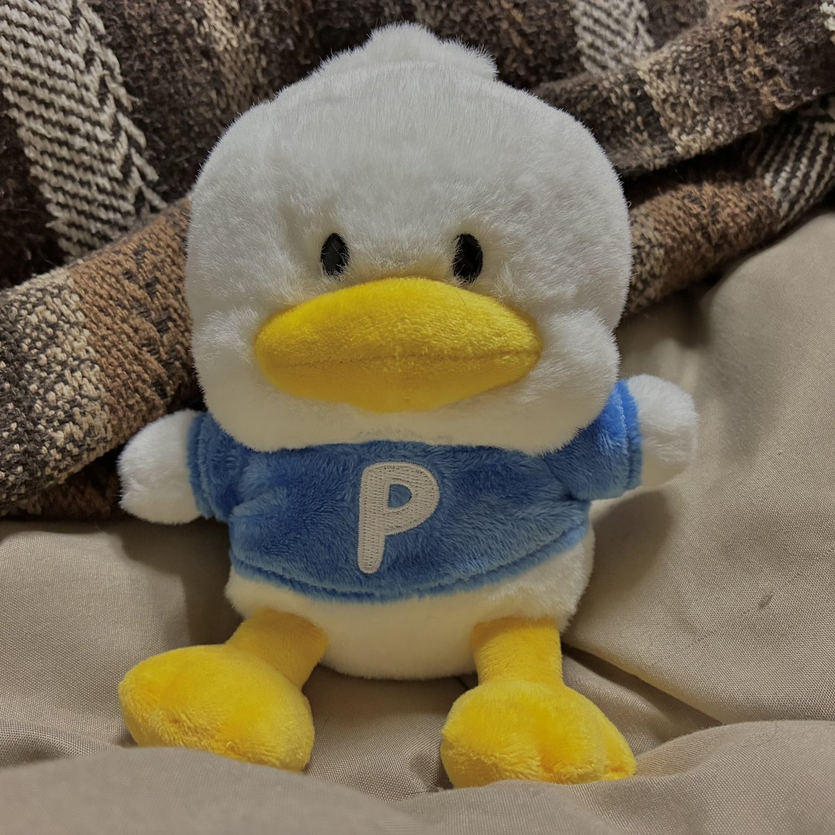 mkt3416's tweet photo. 時々行くお店でたまたま目が合って連れて帰ってきた

レジで「けっこう前に人気でしたね、今もこの子いるんですね」って店員さんが話しかけてくれた

同世代と思われ、小学生の頃好きだったという話をして、「この子見て癒されましたー」って言ってもらった

私は店員さんと君に癒されたよ
ありがとう https://t.co/oCXFlVZpPn
