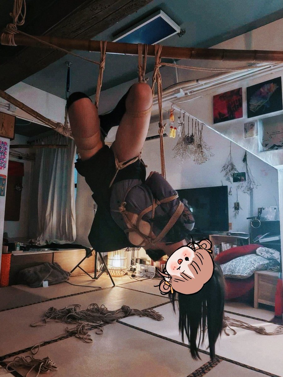 秋风半夜瞑蝉 tweet media