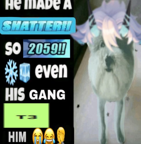 Bundle o/ Bunnies tweet media