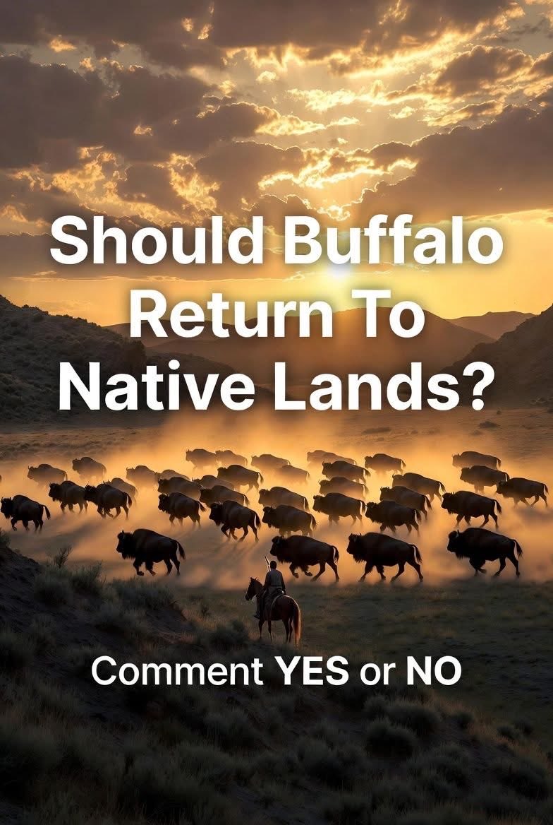 Osamuskwasis Roan tweet media