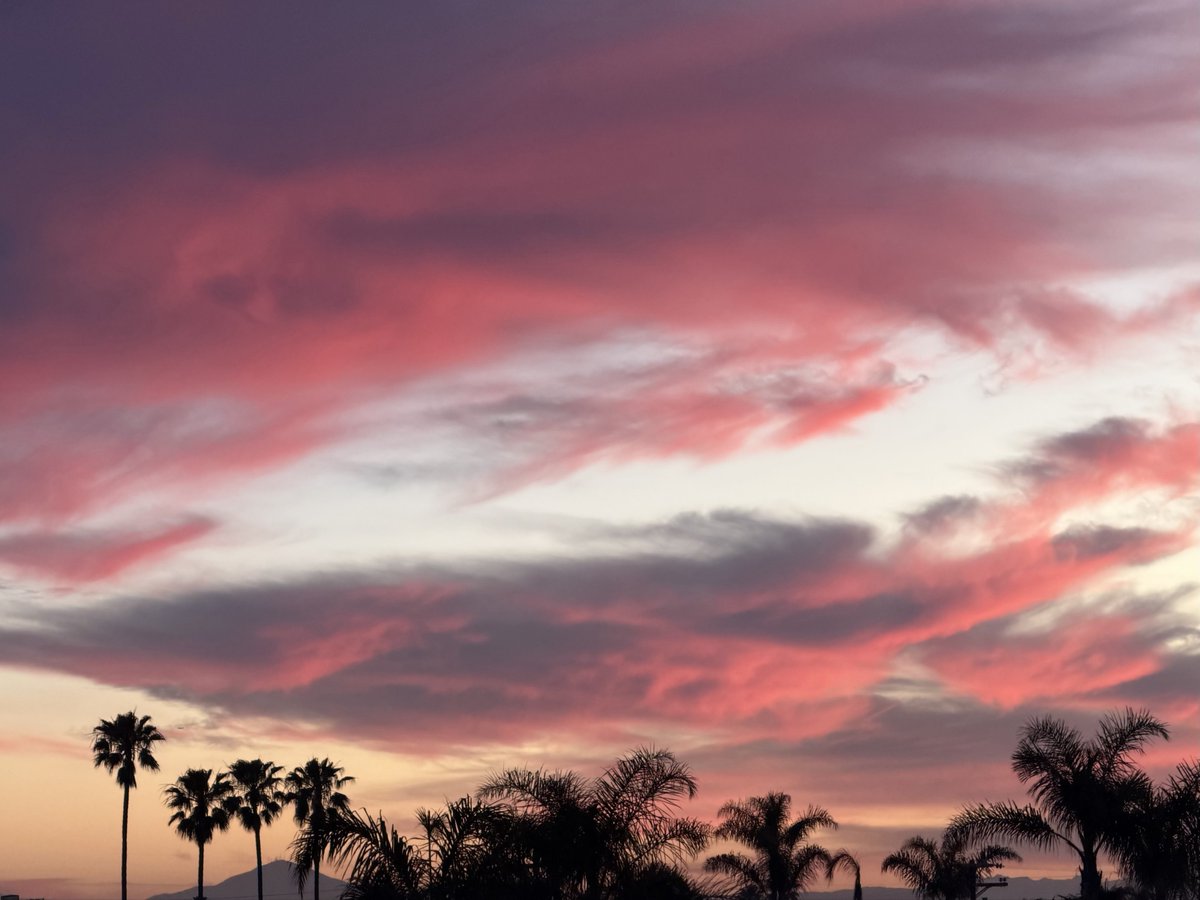 Leslie SoCal ☮️📸🇵🇸 tweet media