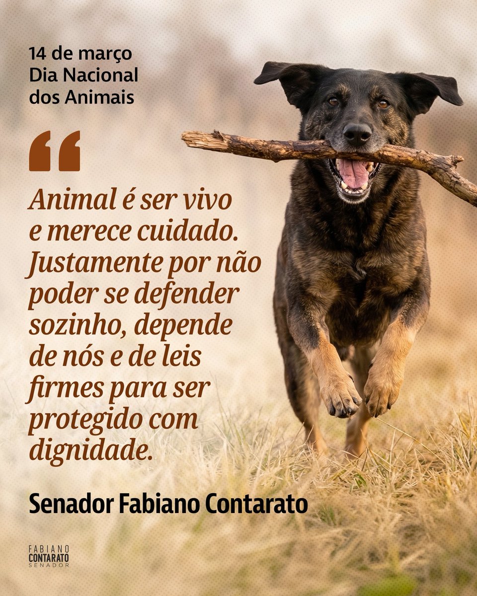 Fabiano Contarato tweet media