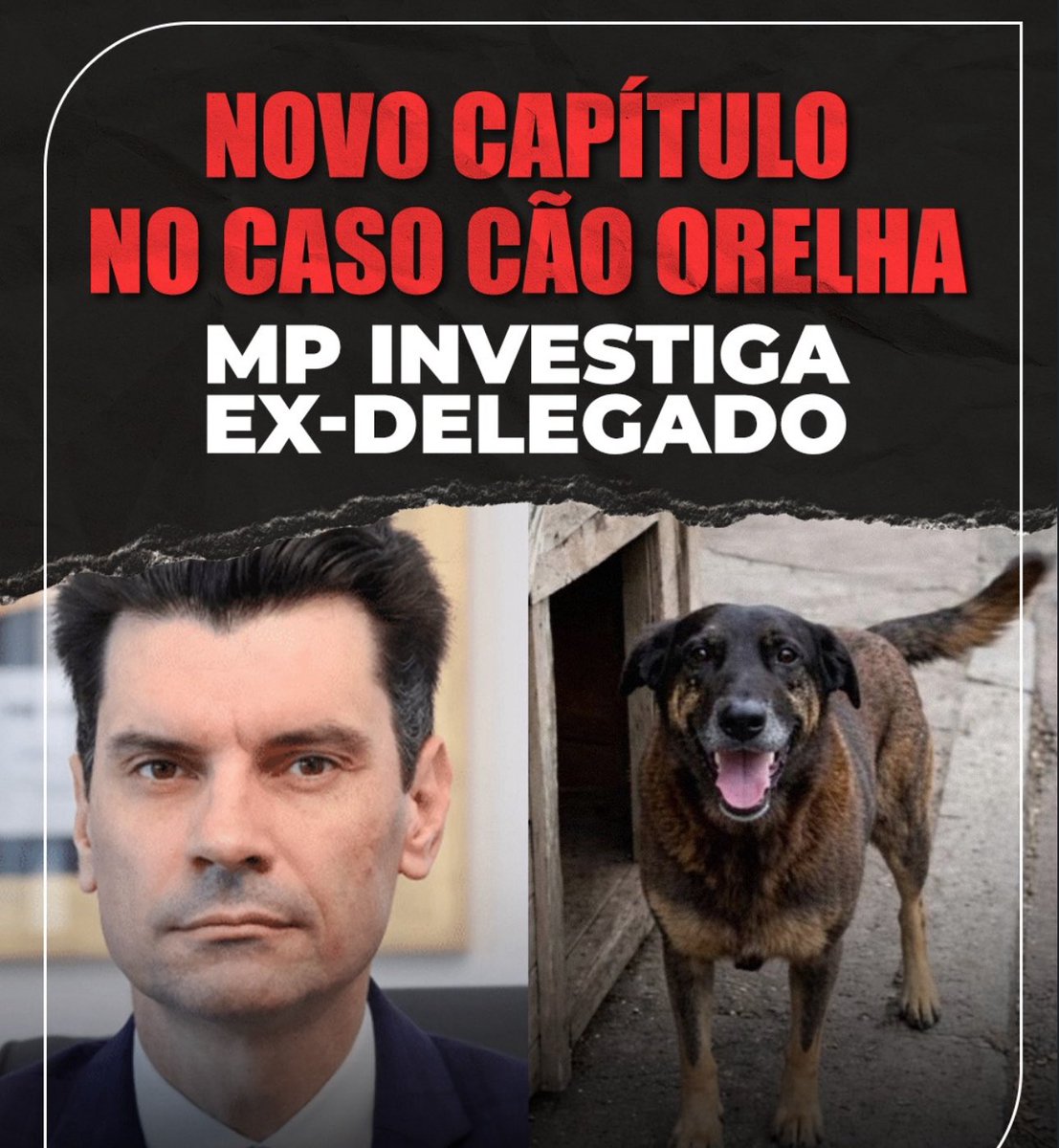 NOVO CAPÍTULO CASO ORELHA

O ministério público abriu um inquérito pra investigar o delegado Ulisses por crimes como: ABUSO DE AUTORIDADE, etc. A investigação veio logo após o mesmo criticar em seu perfil no X quem está pedindo justiça pelo Orelha, acusando de cortina de fumaça.