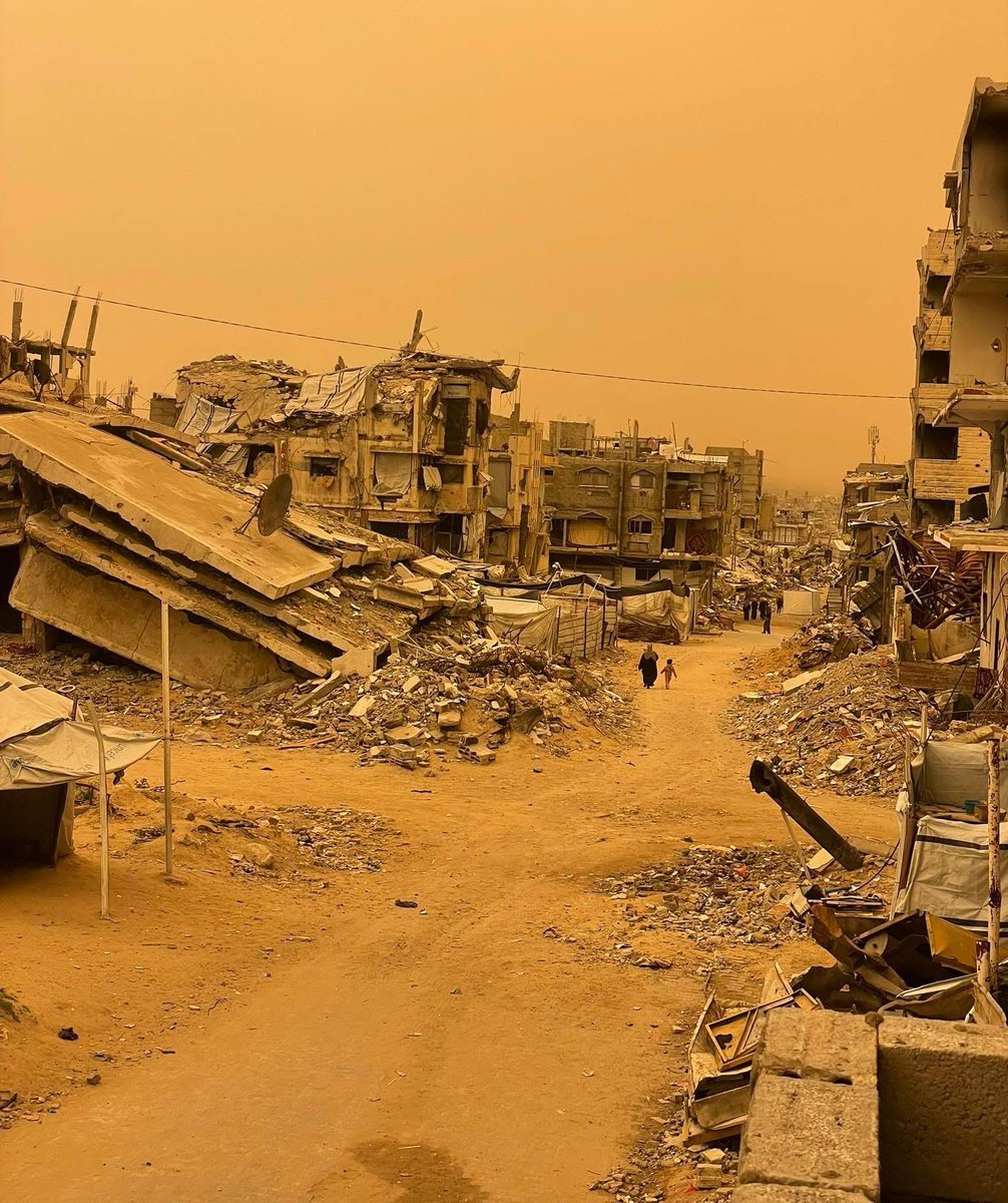 Academic Solidarity with Palestine tweet media