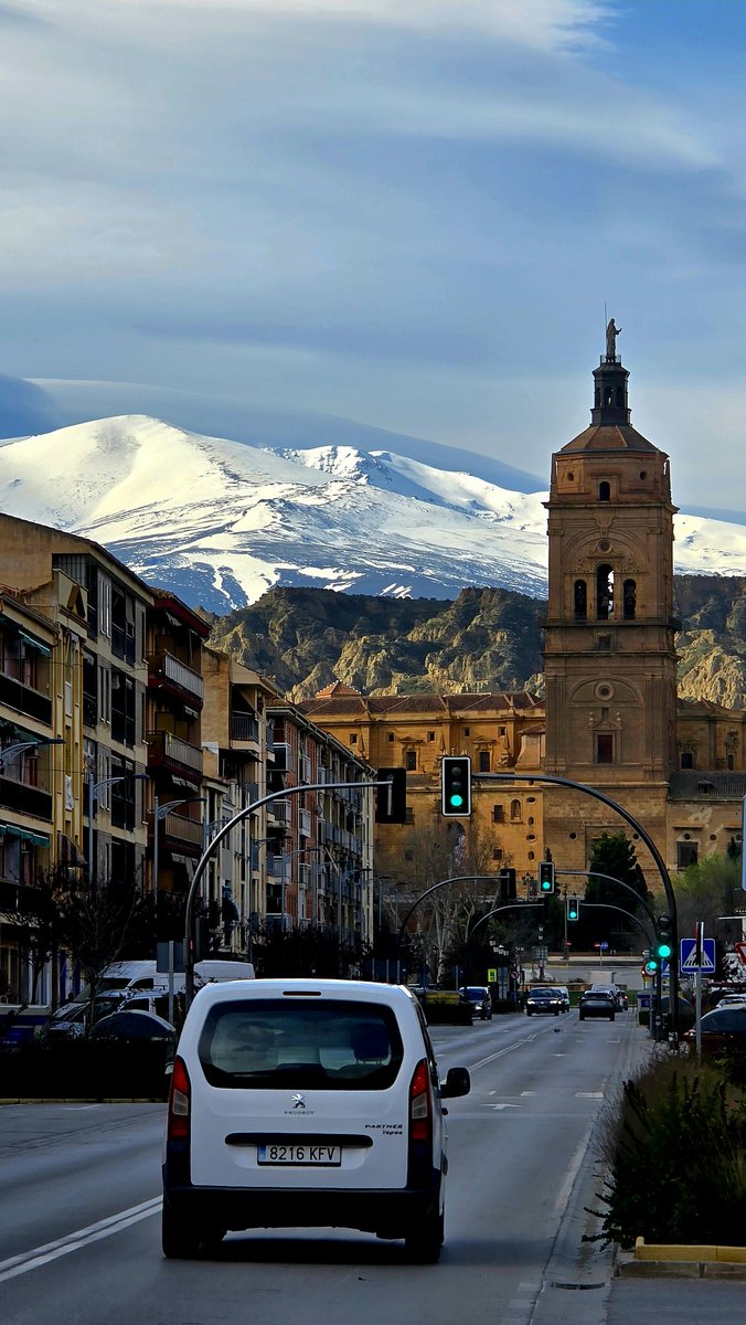 Rubén Pardo Martínez tweet media