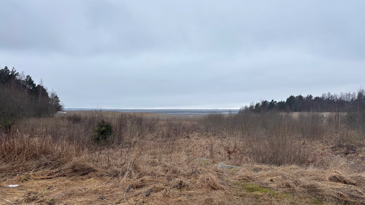 mio the witch tweet media