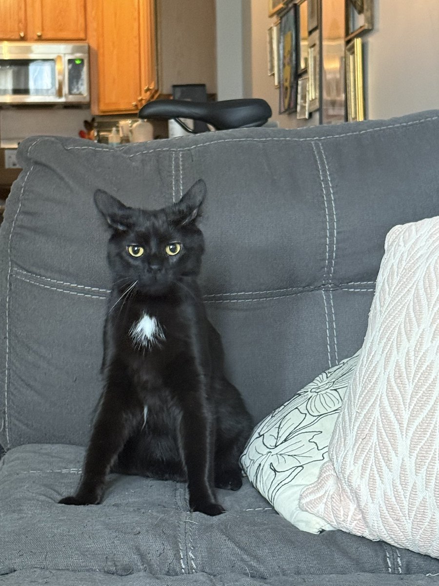 Wobbly Ruth, et al. tweet media