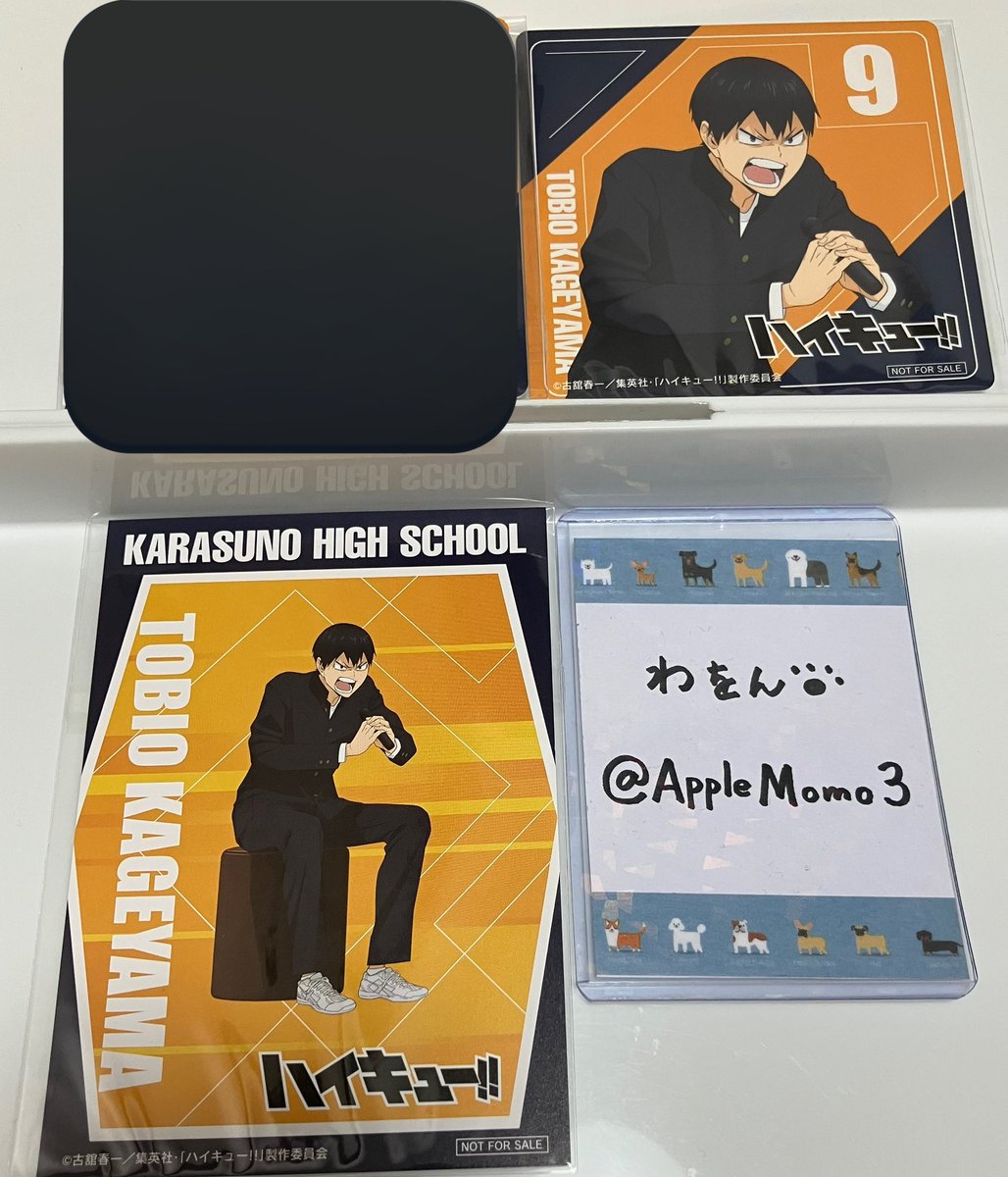 わをん🐾　リットリンク必読 tweet media