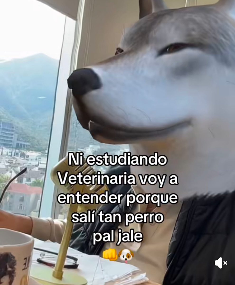 Buenos días razita como andan, saludo parejo a todos, que tengan excelente fin de semana largo