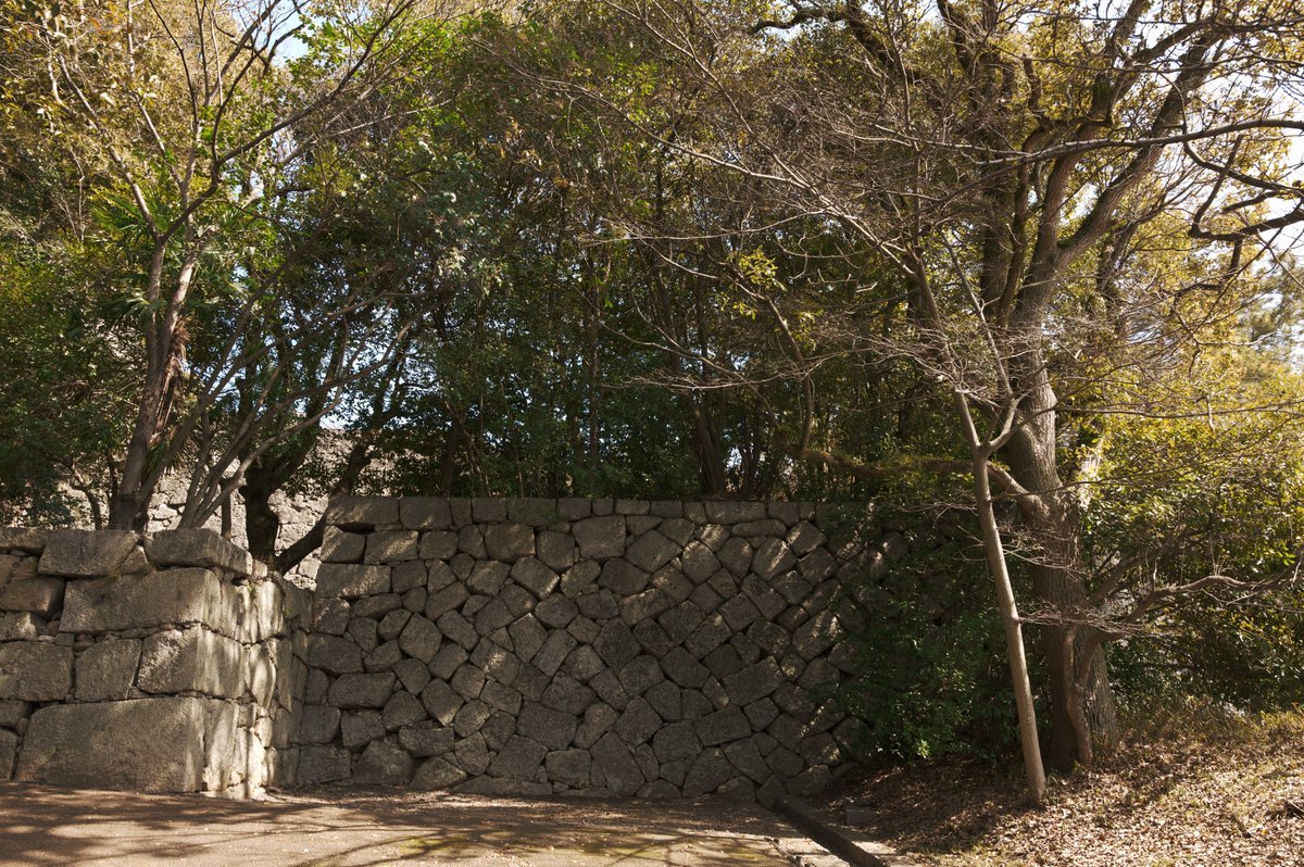 Keisuke Okumura tweet media