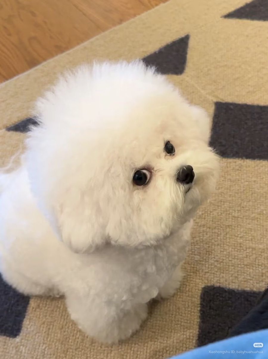 6h_ (@httpxlhc) on Twitter photo 