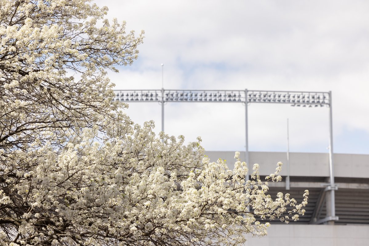 Ohio State tweet media