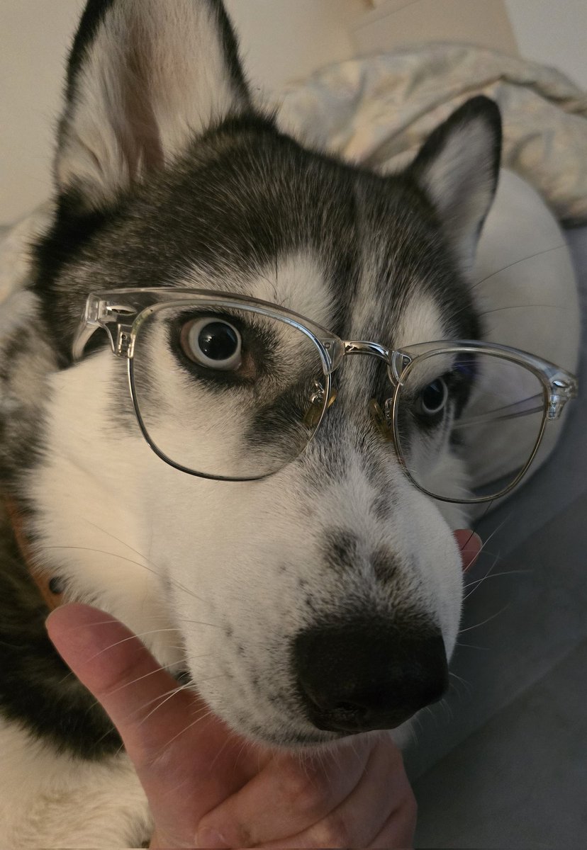 지구에 메태호가 떨어진다면 tweet media