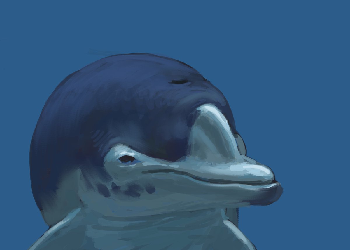 Joschua Knüppe tweet media