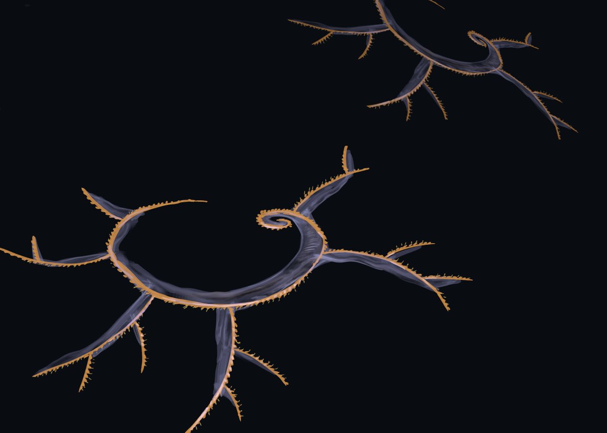 Joschua Knüppe tweet media