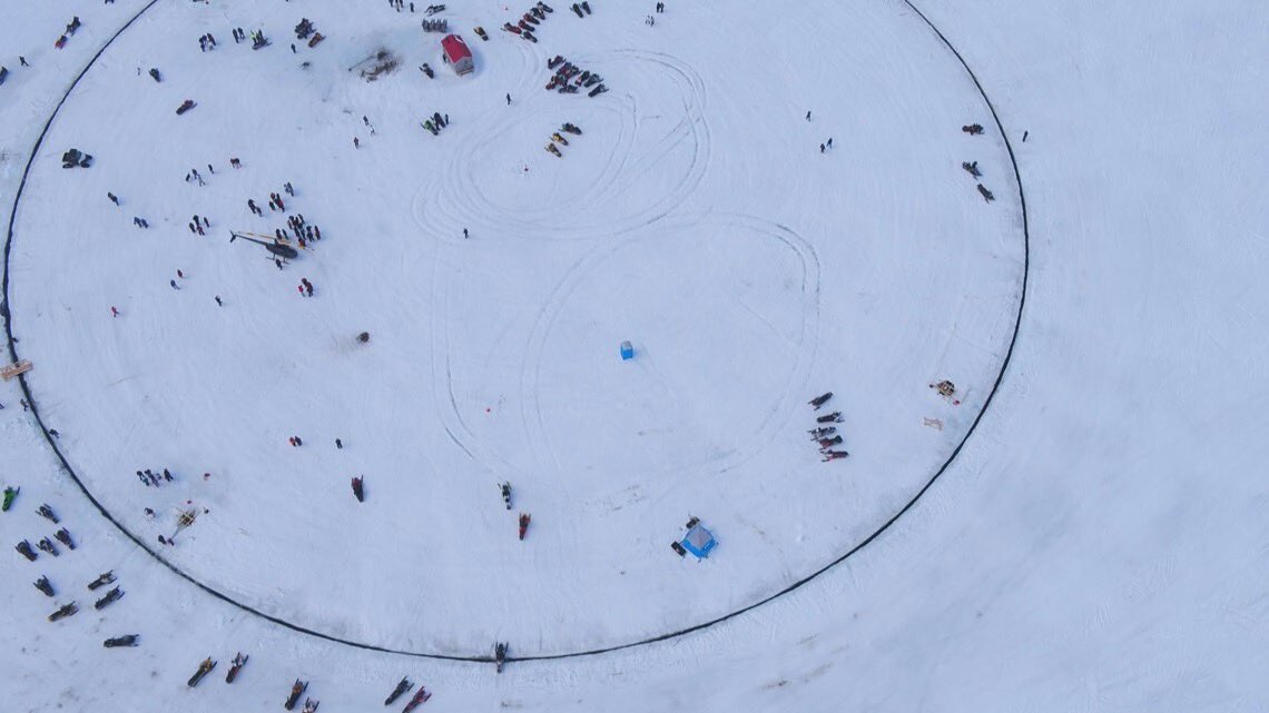 Susan Collins for Senator tweet media