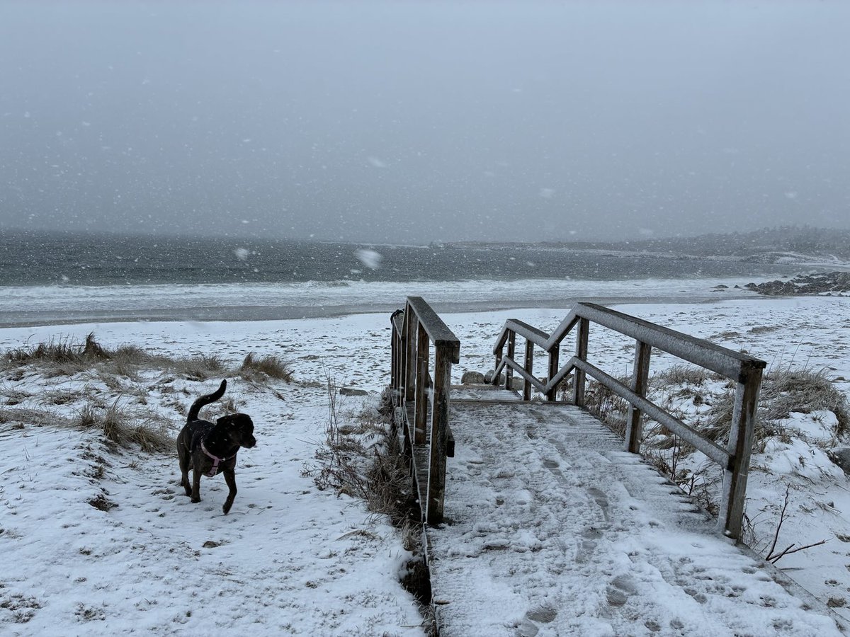 Rob Roberts tweet media