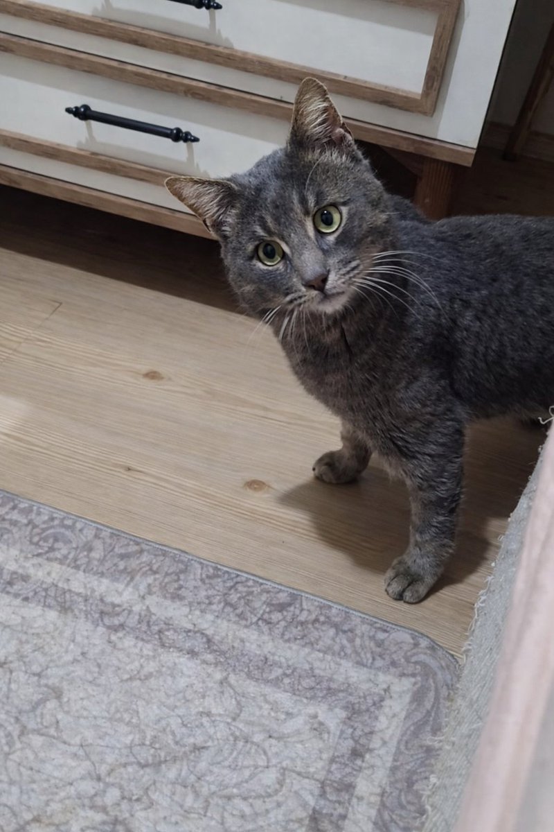 Yuva Buldum tweet media