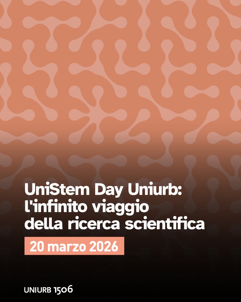 Università di Urbino tweet media