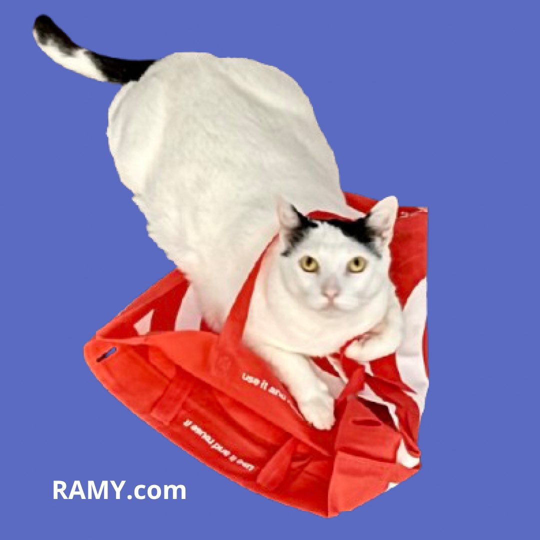 Ramy Gafni tweet media