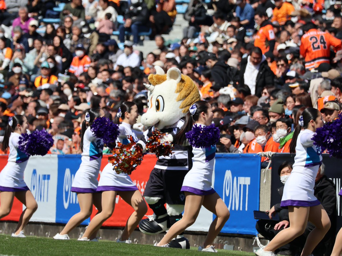 スポーツ報知 ラグビー取材班 tweet media