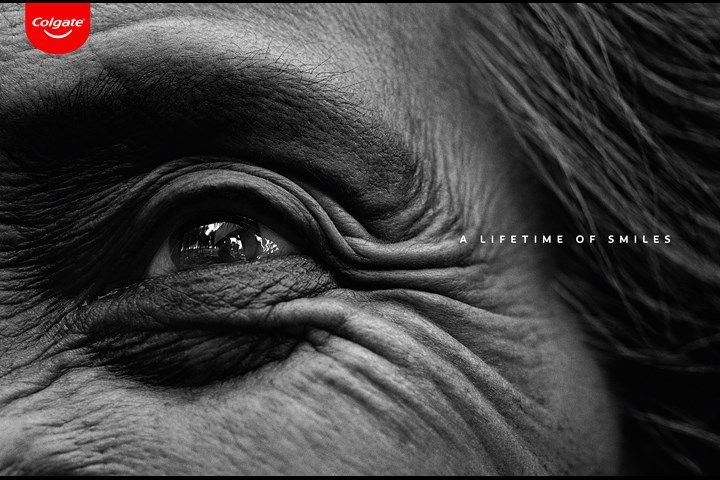 Ad Professor tweet media