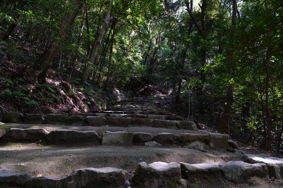 Keisuke Okumura tweet media