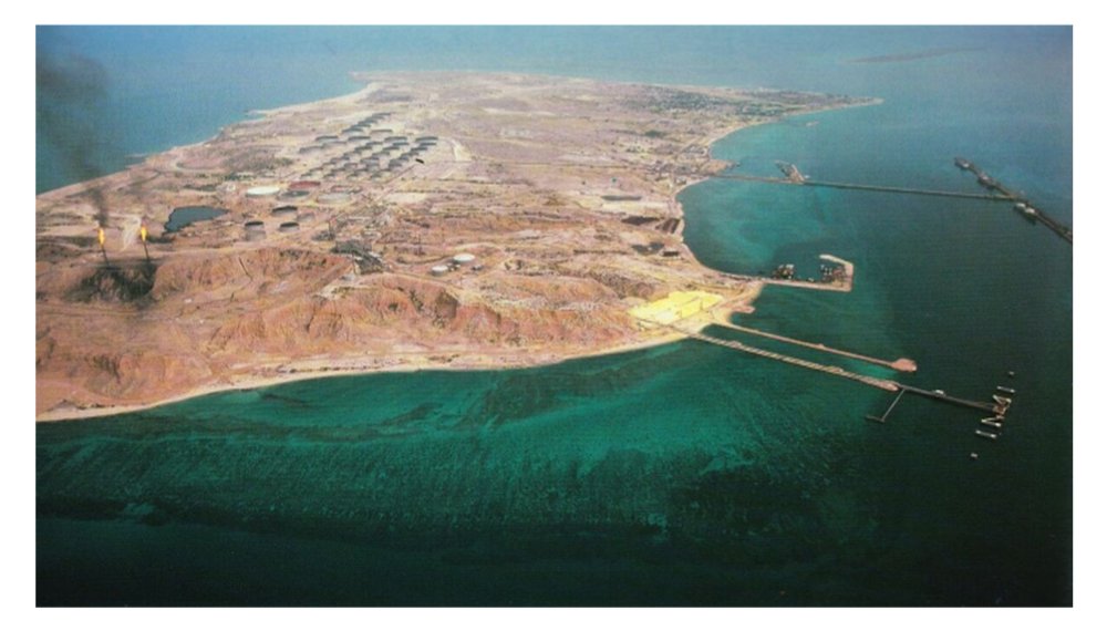 🐧 Tāwhaki the Penguin God🐧🦞 tweet media