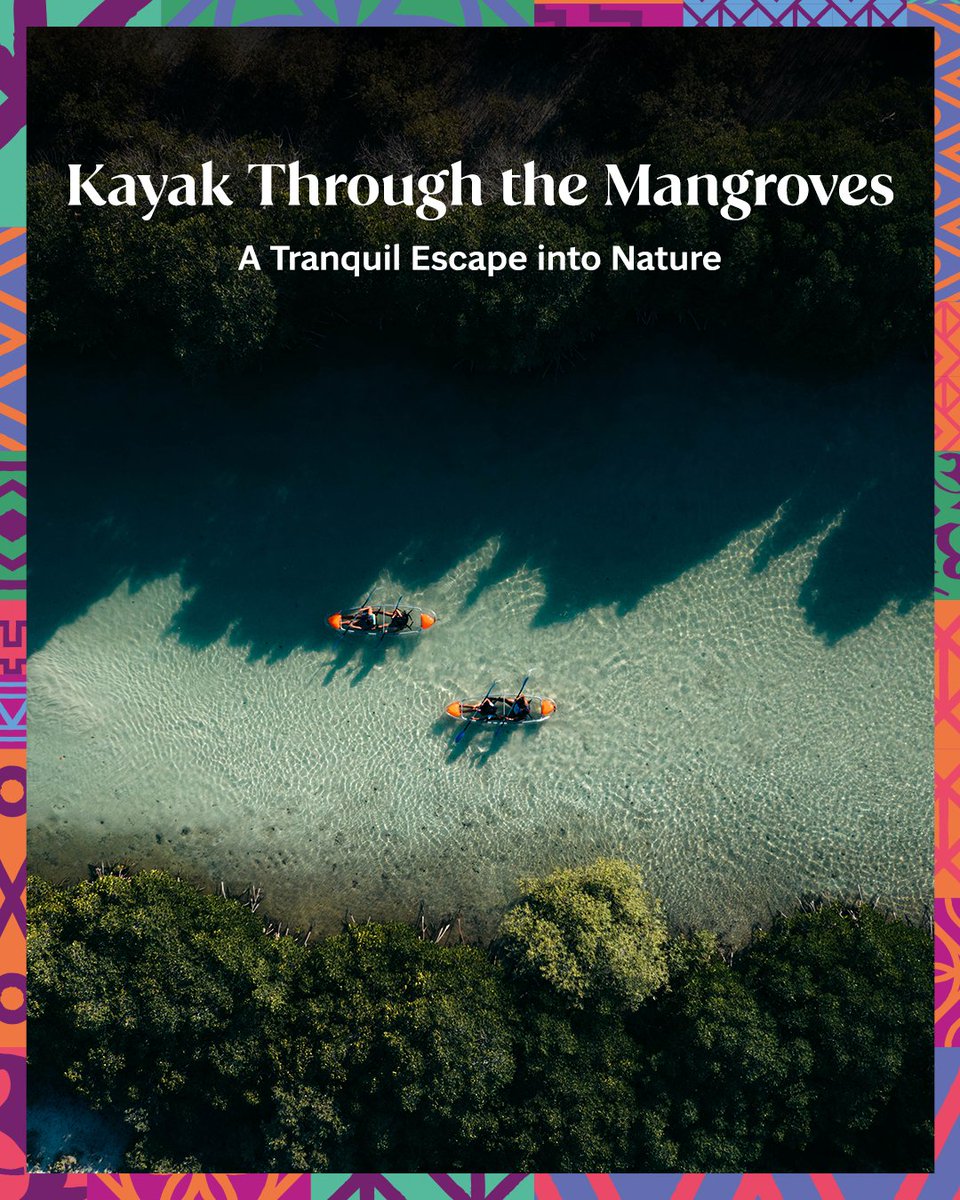 Visit Saudi tweet media