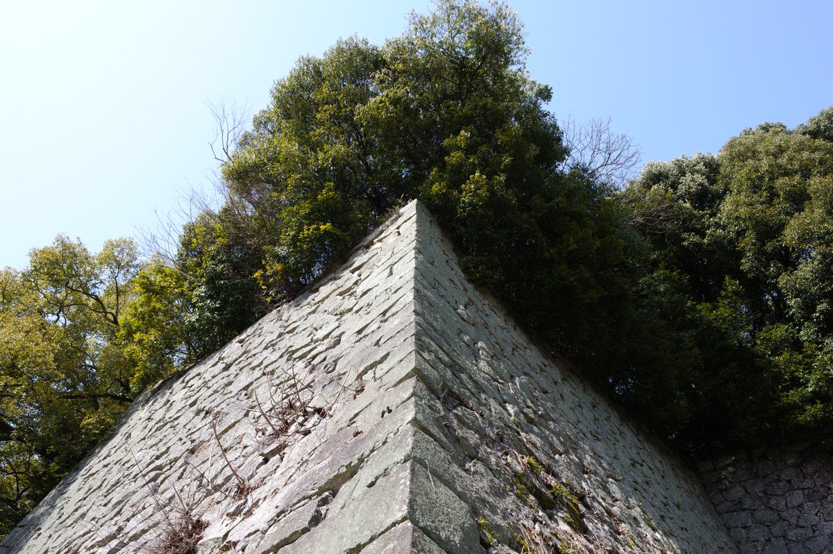 Keisuke Okumura tweet media