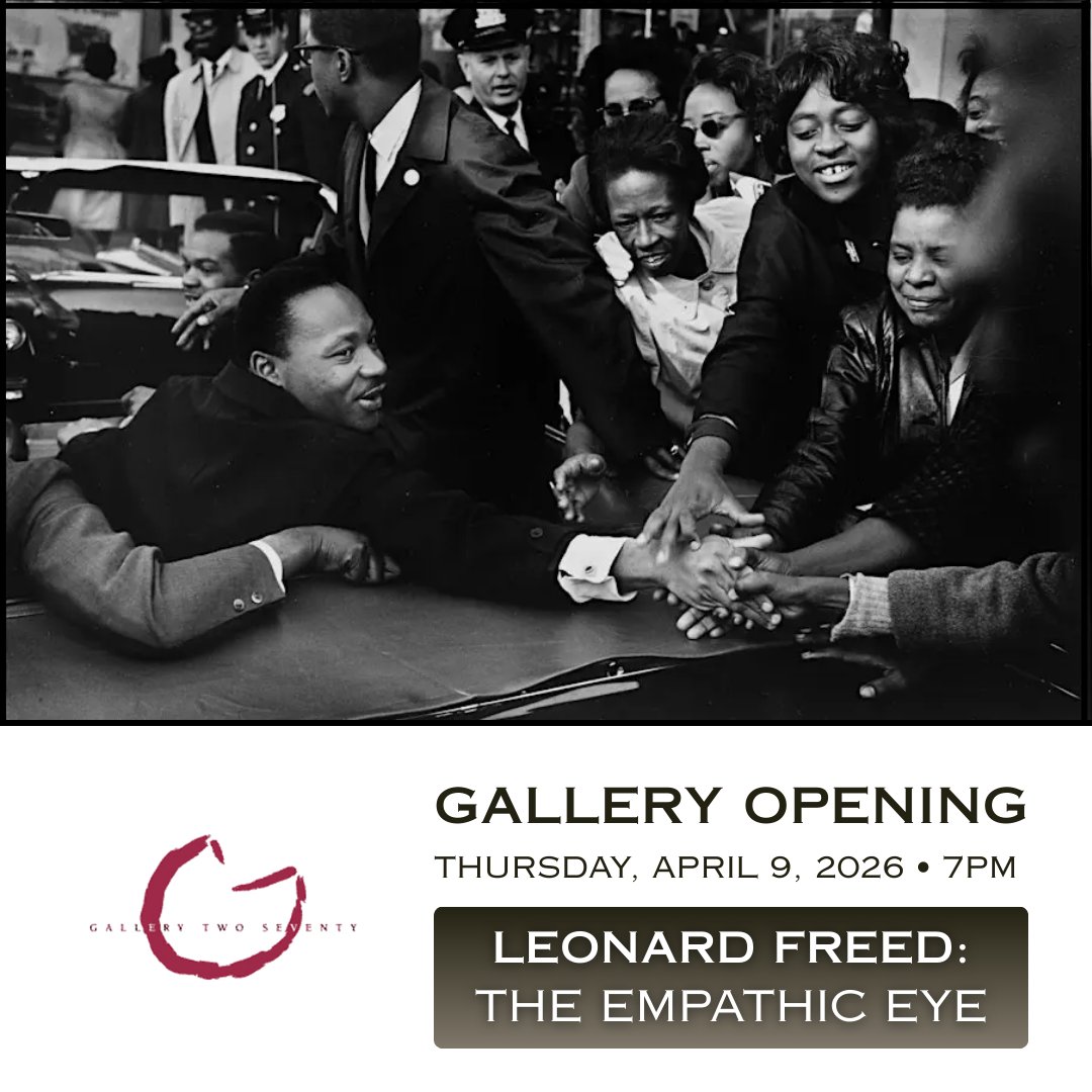 Gallery 270 tweet media