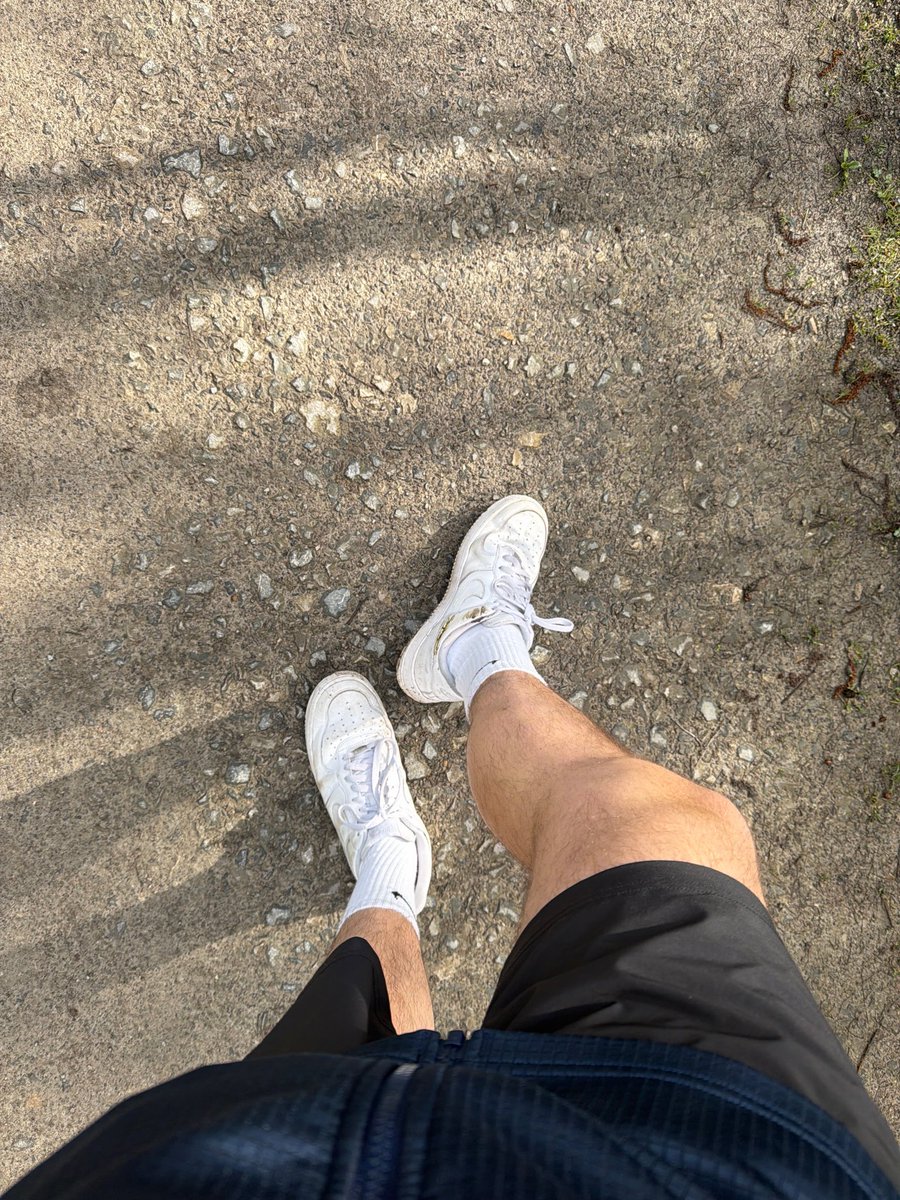 👑Master Jordan👑 tweet media