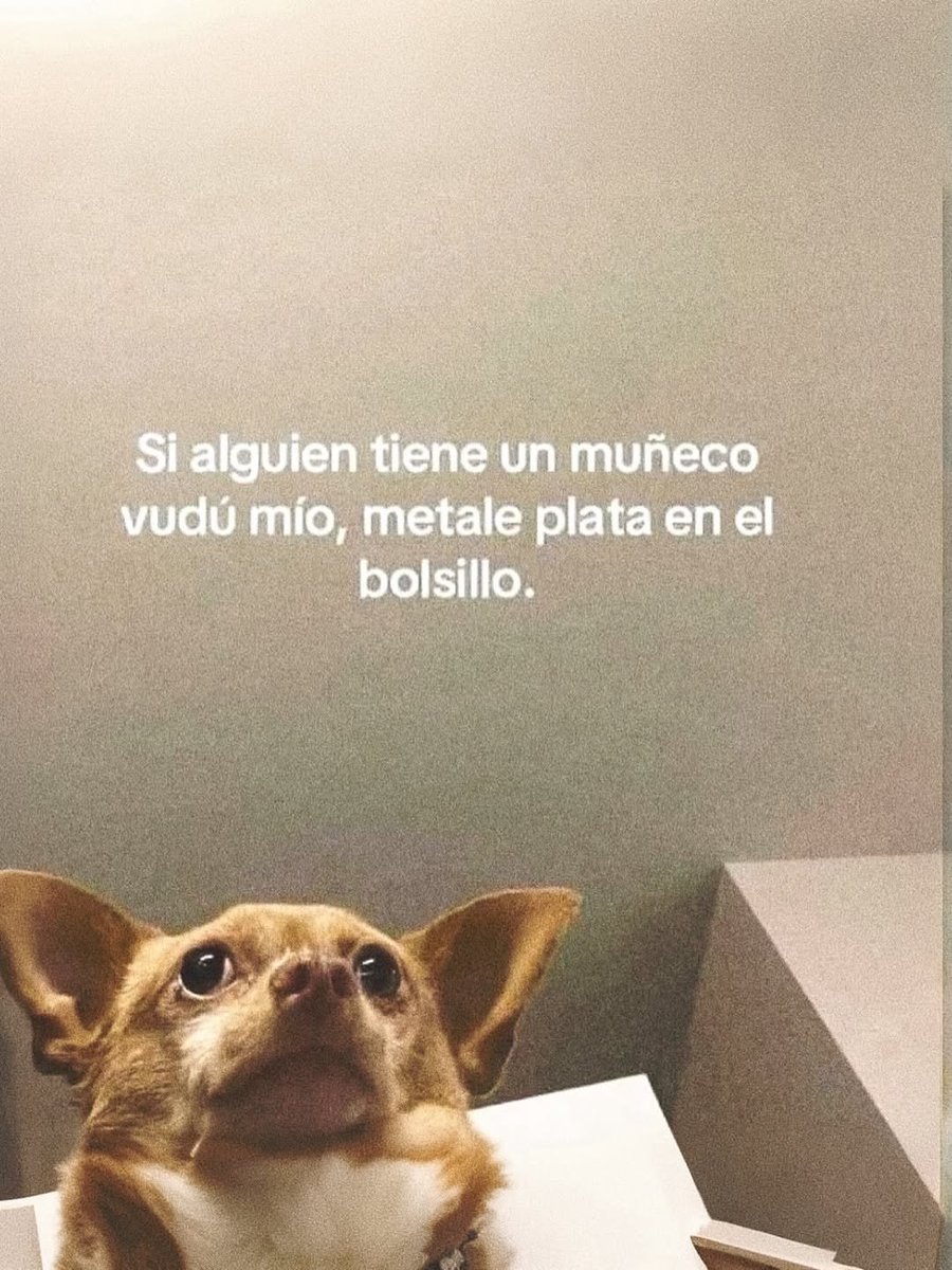 BANDIDOS tweet media