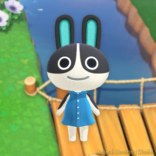 Animal Crossing World 🏝️ tweet media